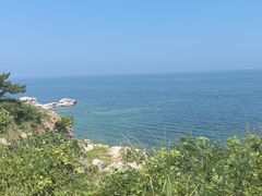 -养马岛旅游度假区