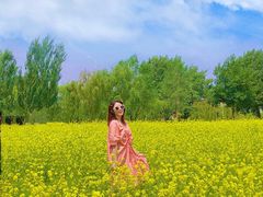 -长白岛森林公园