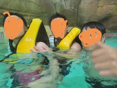 -杭州开元森泊度假乐园