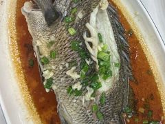 -金海湾海鲜排档(朱家尖店)