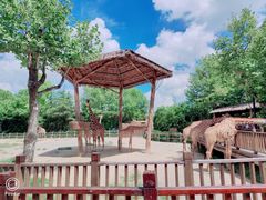 -上海野生动物园