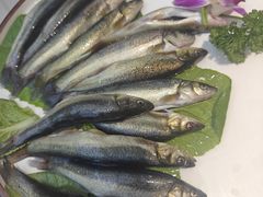 -楚鱼王·河鲜·湖北菜(华农店)