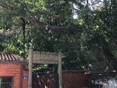 -草庵摩尼教遗址公园