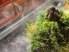 -唐河王记·南阳民间菜(国基路店)