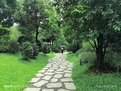 -云溪植物园