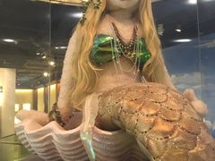 -成都泰迪熊博物馆
