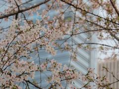 -西北湖绿化广场