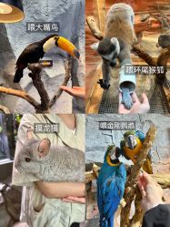 -Zoolung Zoolung动物主题公园(海信广场店)