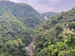 -九鲤湖风景区