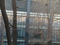 -北京师范大学邱季端体育馆