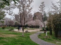 -堤角公园