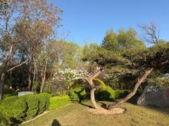 -迎泽公园