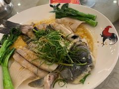 -勒南公舍(龙江店)