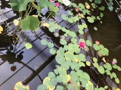 -陆地游轮吉林神农温泉