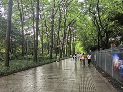-广东省博物馆