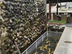 -京北渔家傲