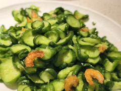 金钩海米炒脆瓜-船歌·鱼水饺青岛菜(金狮广场店)
