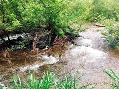 -楠溪江风景名胜区