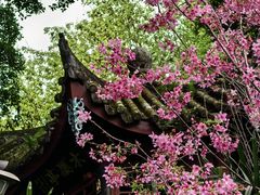-乌山风景区