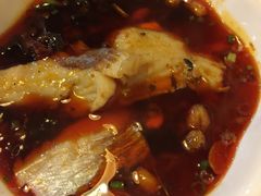 -蜀滋香鲜鱼美蛙火锅(339店)