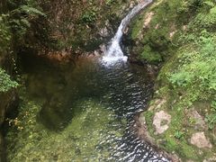 -牛背梁国家森林公园