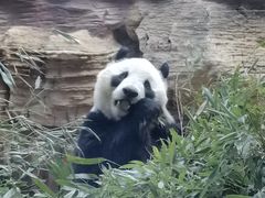 -石家庄市动物园