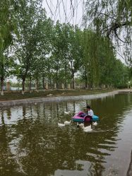 -上美四季动物农场