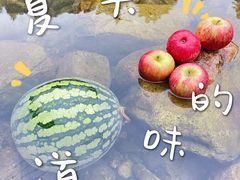 -北仑森林植物园