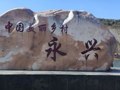 -千年银杏谷文化旅游区