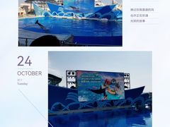 -上海海昌海洋公园