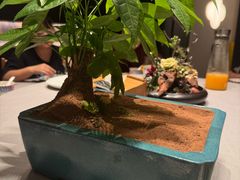 -不贰小院(余姚多元文化创意园店)