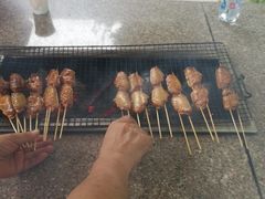 -吴淞炮台湾湿地森林公园烧烤区