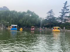 -团结湖公园