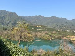 -龙坞茶村