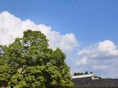 -景福宫