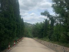 -龙口南山旅游景区