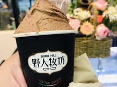 -野人先生现做冰淇淋(西安赛格店)