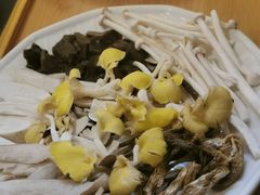 -大理董·董家小厨野生菌火锅(古城旗舰店)