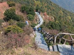 -梧桐山风景名胜区
