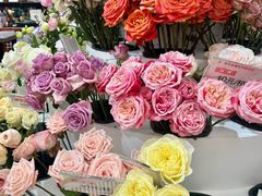 -荷兰花海