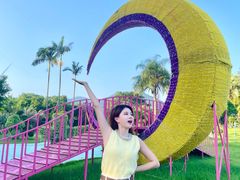 -东南花都花博园