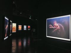 -罗红摄影艺术馆