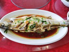 -老张桥新天地羊肉店