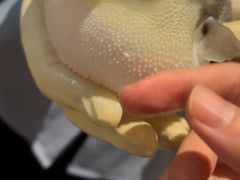 -肆月河豚·淮扬菜·湘菜(华天店)