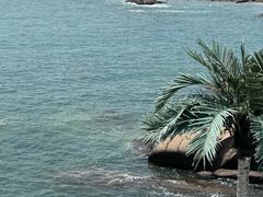 -Vanillacafe香草咖啡(银海大世界店)