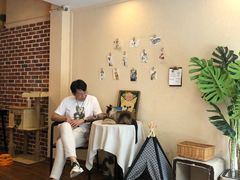 -猫友咖啡店(玉林西路店)