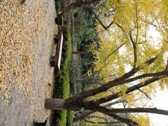 -东山雕花楼