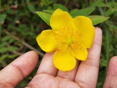 -桤木河湿地公园