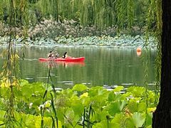 -WhaleSports户外水上运动俱乐部(朝阳公园店)