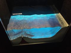 -同济大学四平路校区深海探索馆